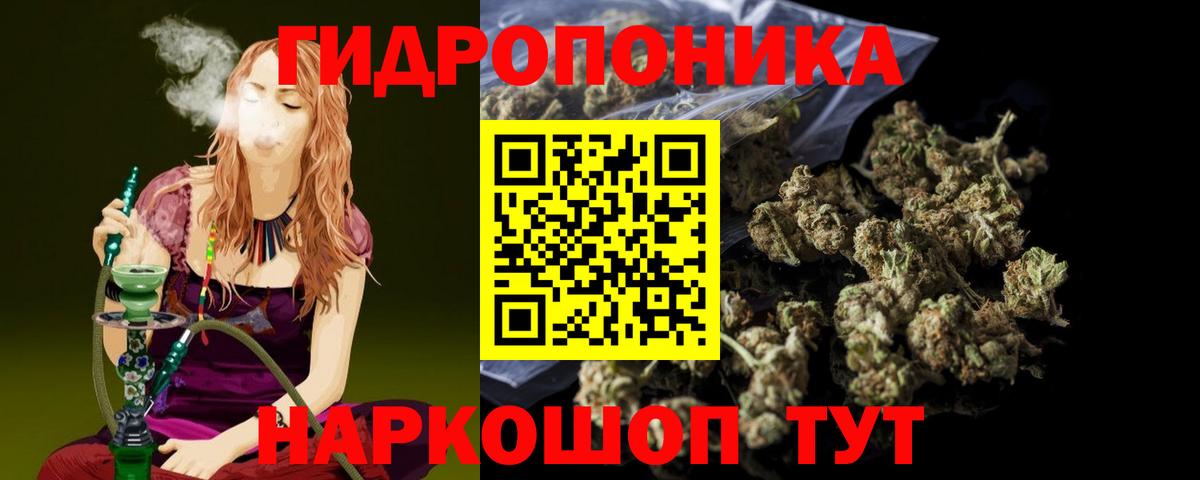 Бошки марихуана планчик Мыски